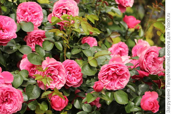 Поздравляю!!!