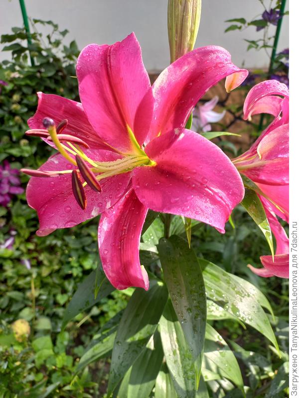 Поздравляем!