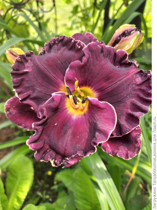 Поздравляю!!!