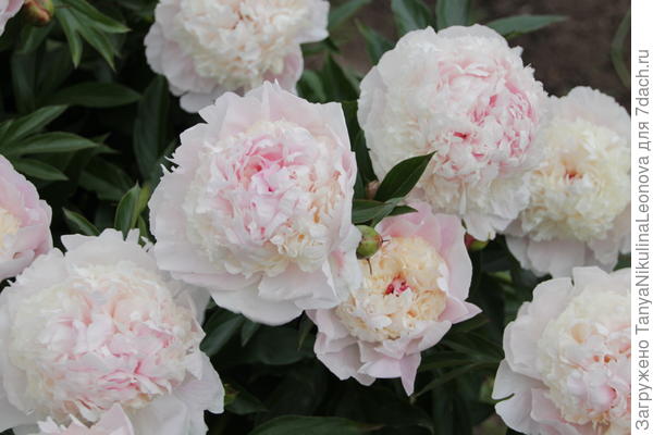 Поздравляю!!!