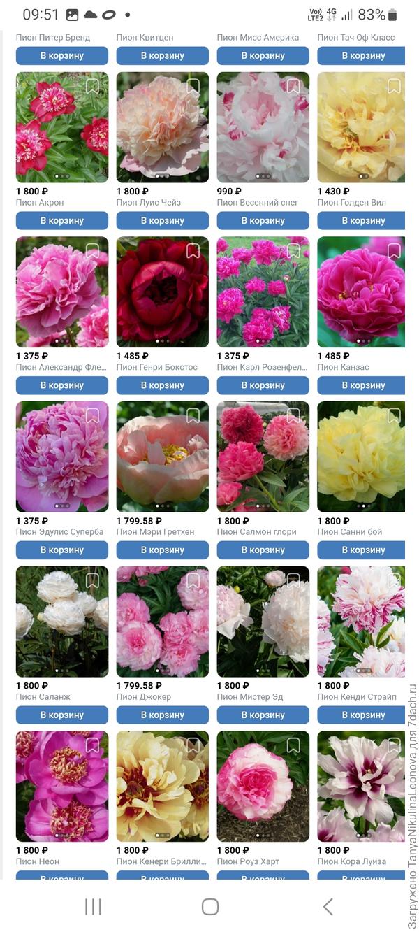 Налетай, не скупись, покупай живопись....