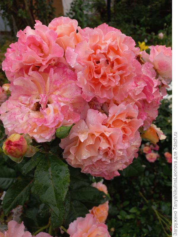 Поздравляю!!!