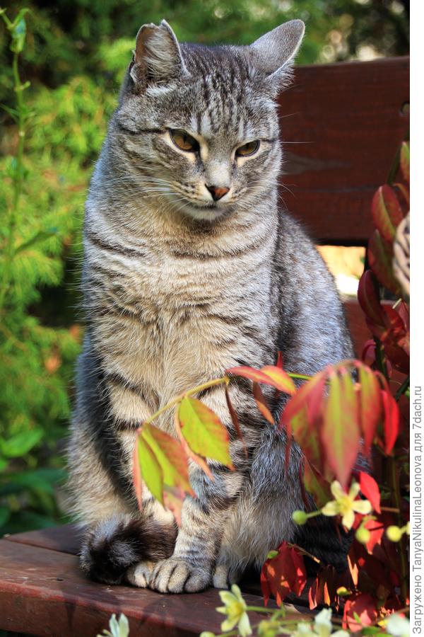 Тёма, спасибо , что был с нами!