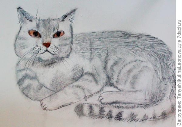 Портрет Мартика