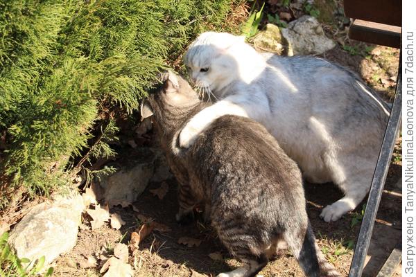 - Ты мне друг?