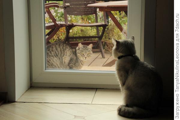 По разные стороны...