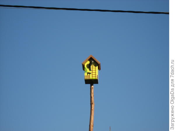 скворечник