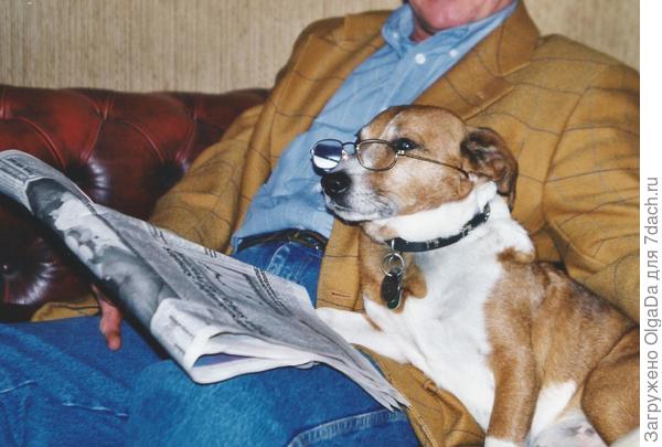 Что там пишет «The Sunday Times»?