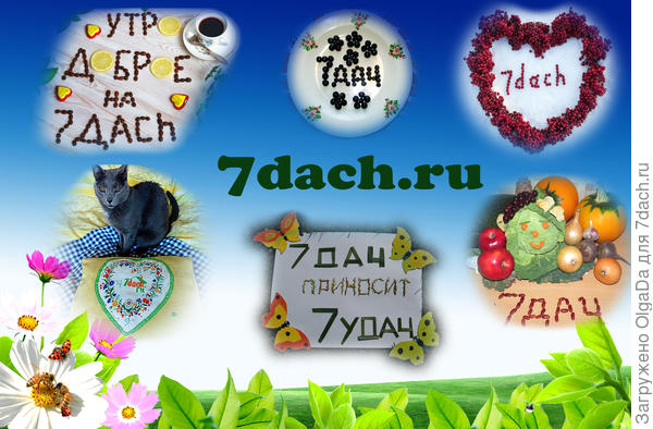Коллаж