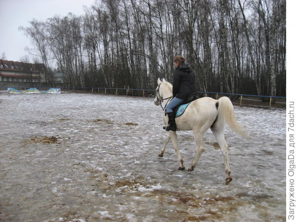Верхом