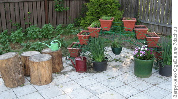 Цветочная горка с &quot;зеленью&quot;.