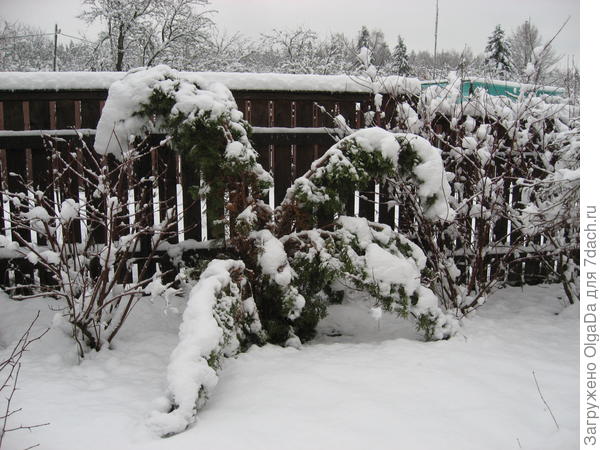 Вот так ког-да то мокрый снег развалил тую Колумну.