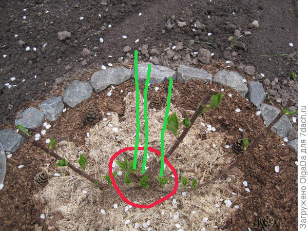 Примерно как-то так.