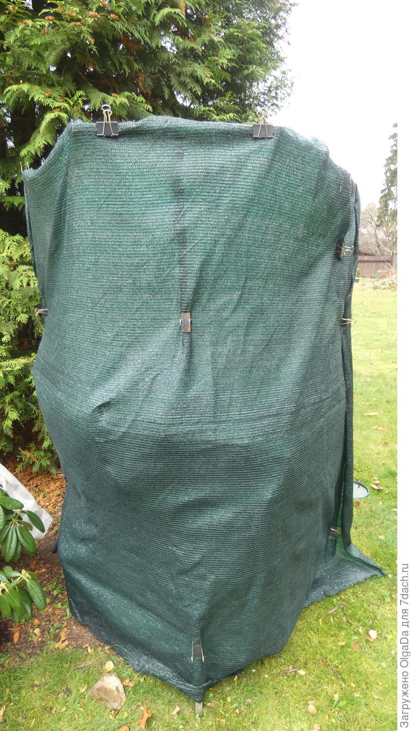 Защитный экран для рододендрона