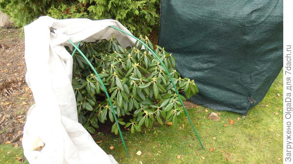 Укрытие по дугам