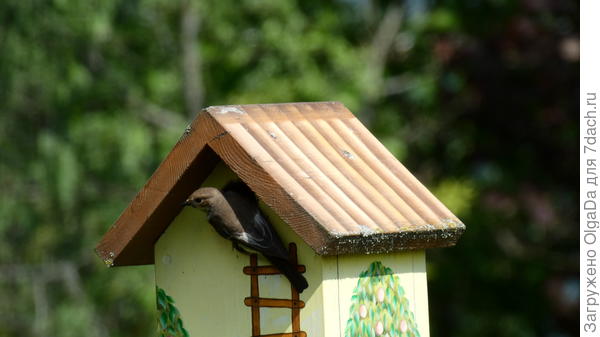 А это кормящая мамочка