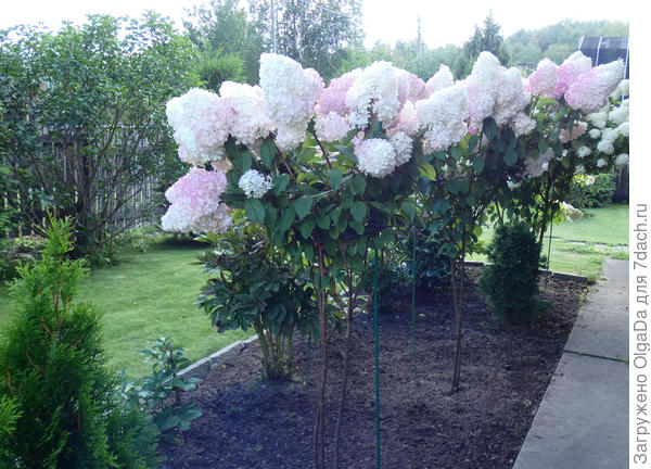 Вот так они стоят сейчас