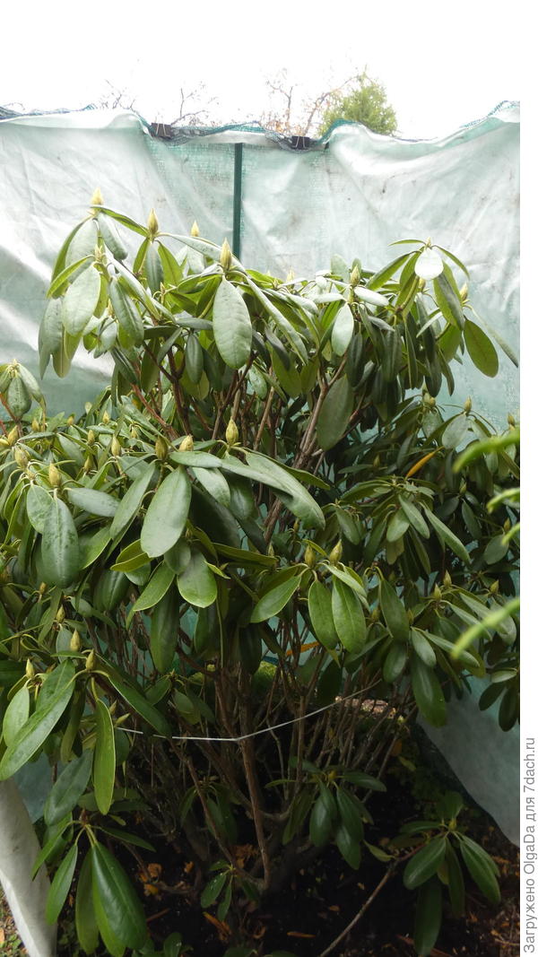 Защитный экран