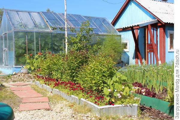 теплица и банька