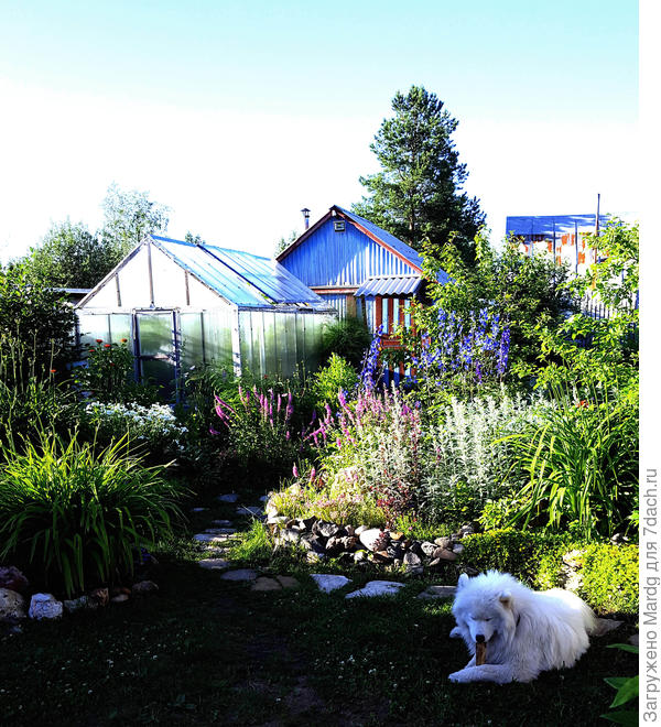 теплица и банька