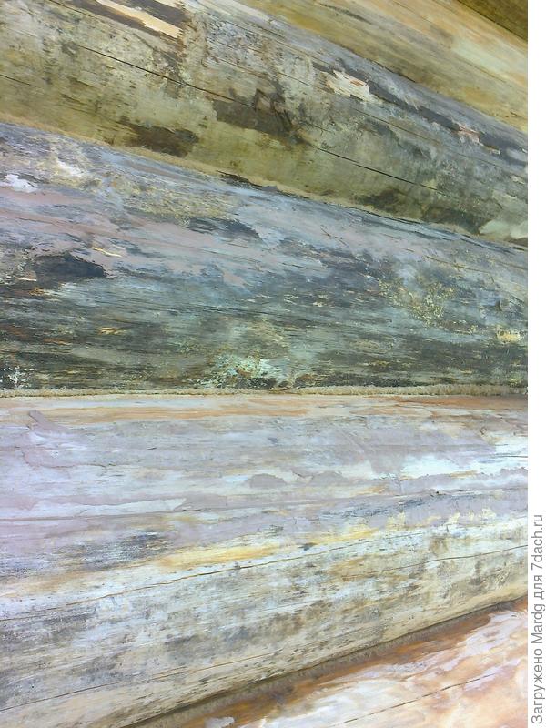 вот так выглядели бревна до обработки