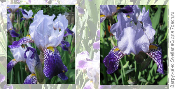 В ожидании лета)