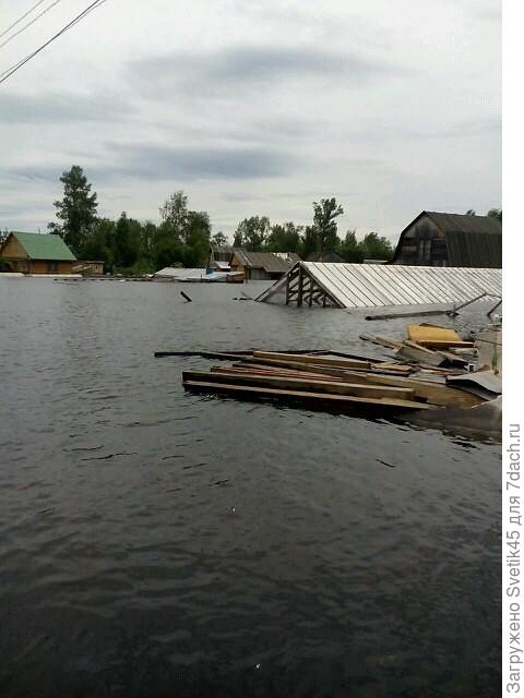 наши ПОДТОПЛЕННЫЕ дачи