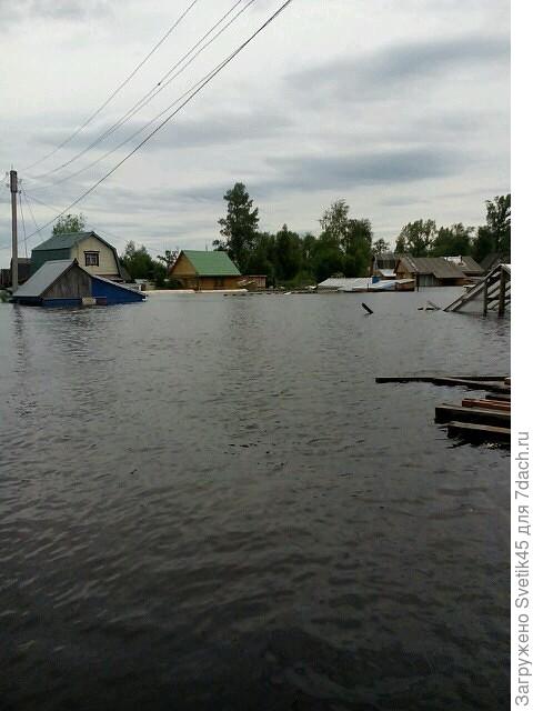 наши ПОДТОПЛЕННЫЕ дачи