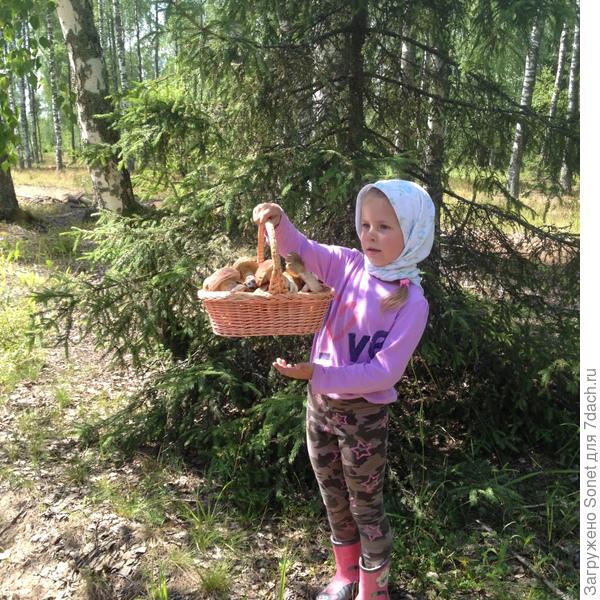 Внучка собрала первые грибки.