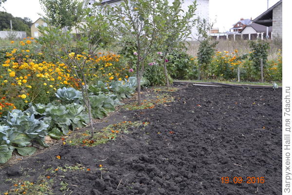 Подготовка огорода к зиме.
