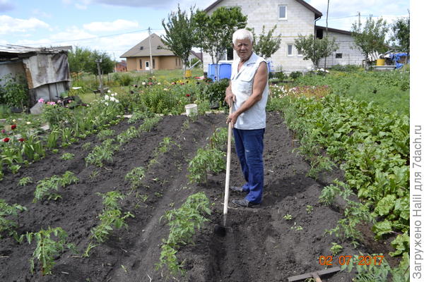 С этим инструментом хорошо делать бороздки для полива.