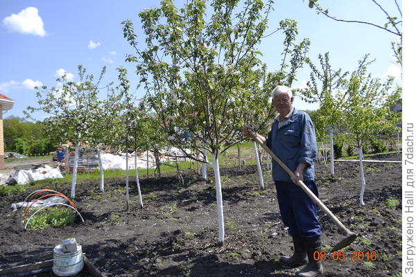 С ним рыхлю почву,убираю траву сорную,делаю бороздки для полива.