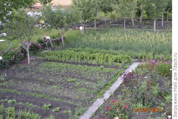 Это общий вид огорода.