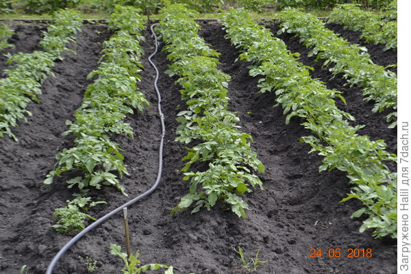 И получается вот так.