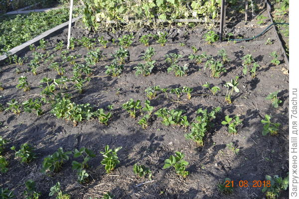 Вот так обрезал.