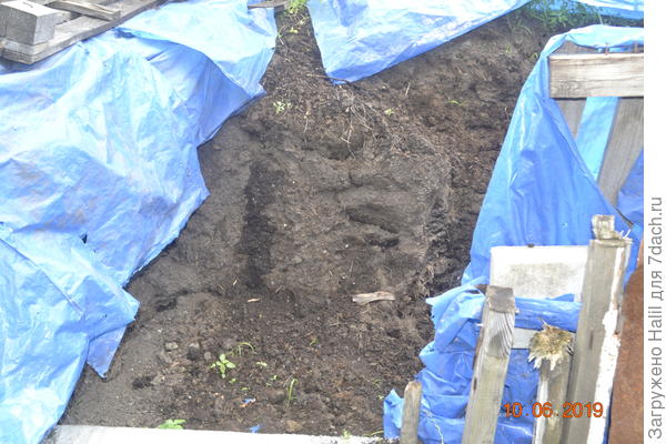 Вот мой навоз,навоз-перегной.При покупке навоза укладываю и покрываю целлофановой пленкой,свежий навоз и так преет из-за температуры,а накрыв целлофаном ещё дольше преет.