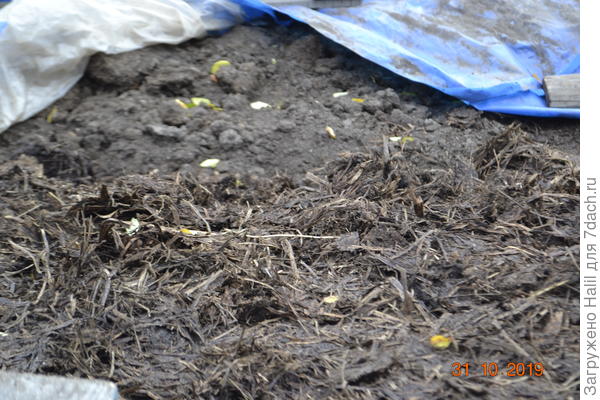 А это навоз,сделал закладку,для перегнивание и получение навоза-перегноя.