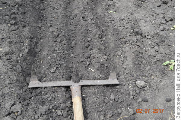 А эти грабли для посадки чеснока,лука севок,моркови свеклы и все семена.