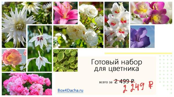 Получите 10% скидку на любой из трех цветников