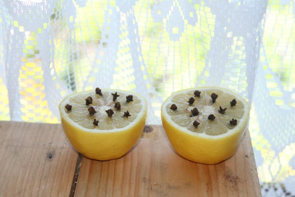Лимон с гвоздикой хорошо защищают от комаров ночью