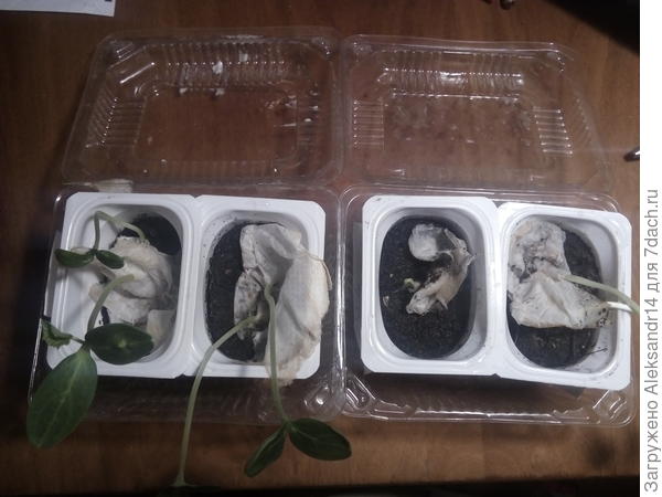 Завтра в ог 28.06