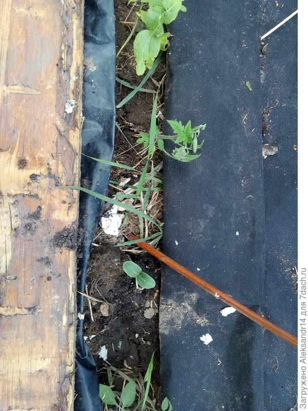 Суперклуша30.06