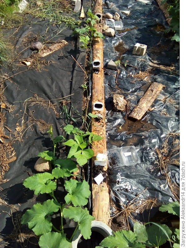 28.04 4йпоследний засев четырех по два