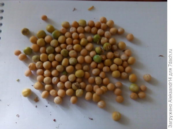 Порядка250 +штук кто пересчитает?