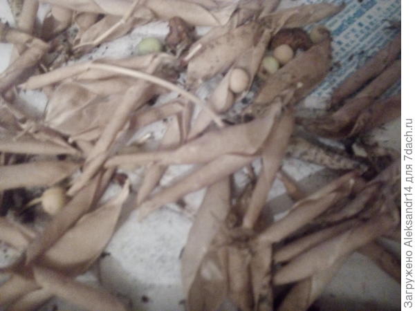 Упаковка вскрыта