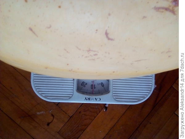 Это мы усохлись с прошлого года