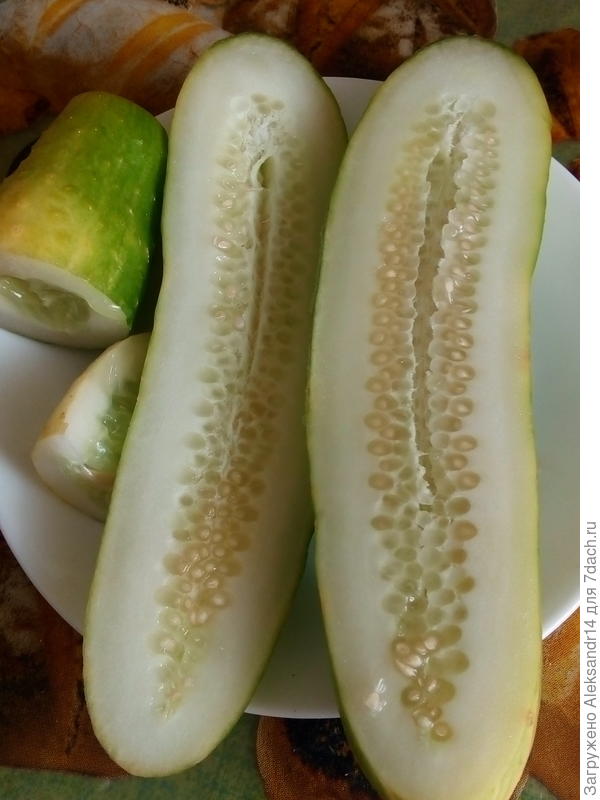 Веселая гирлянда вкус и запах