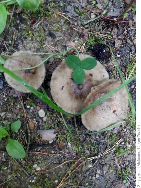 Не совсем уврен