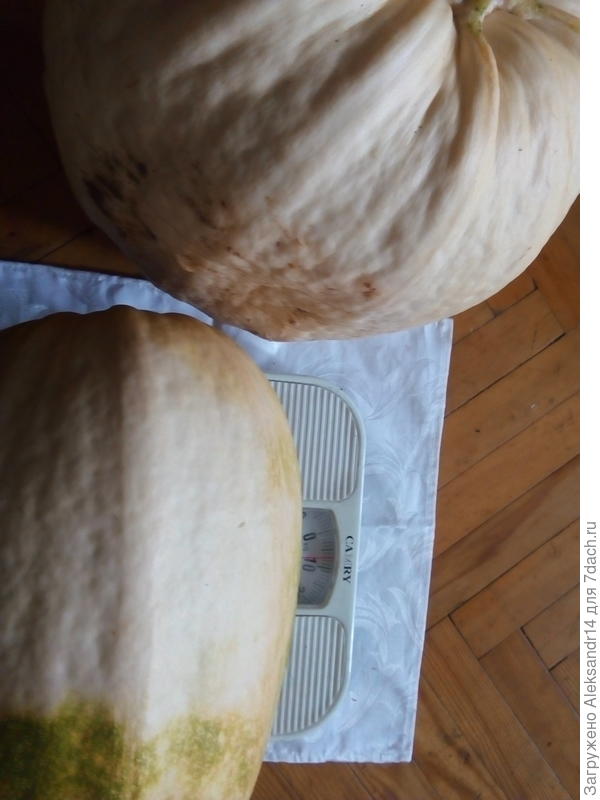 Весы напольные