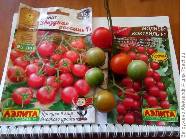 Ягодки как на картинке больше похоже на россыпь